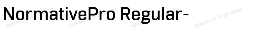 NormativePro Regular字体转换